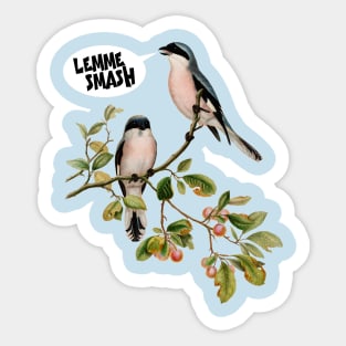 Lemme Smash Meme Bird Sticker